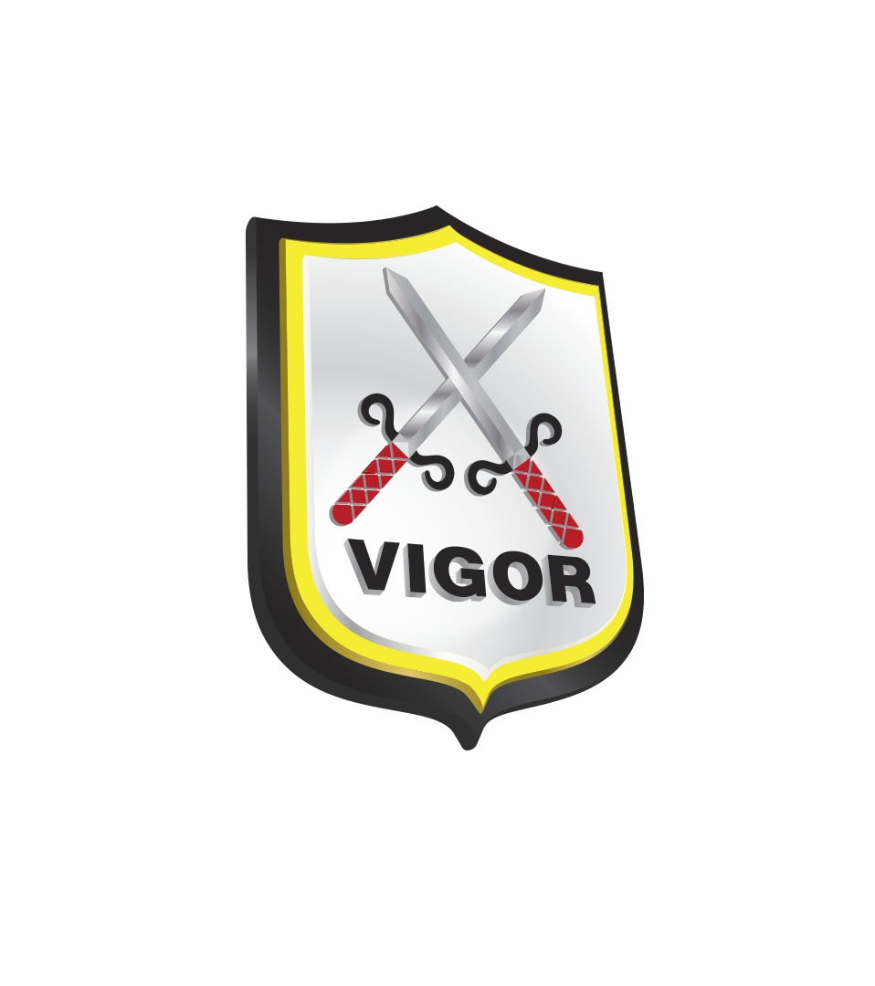 Logo Vigor - Facebbok